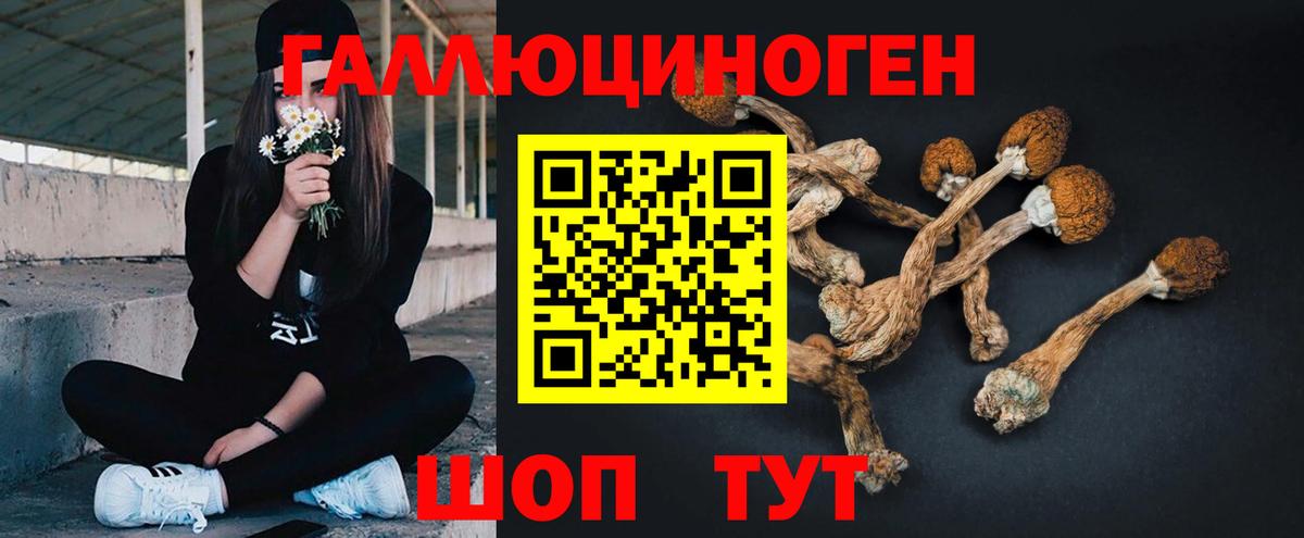 Псилоцибиновые грибы Magic Shrooms Кубинка